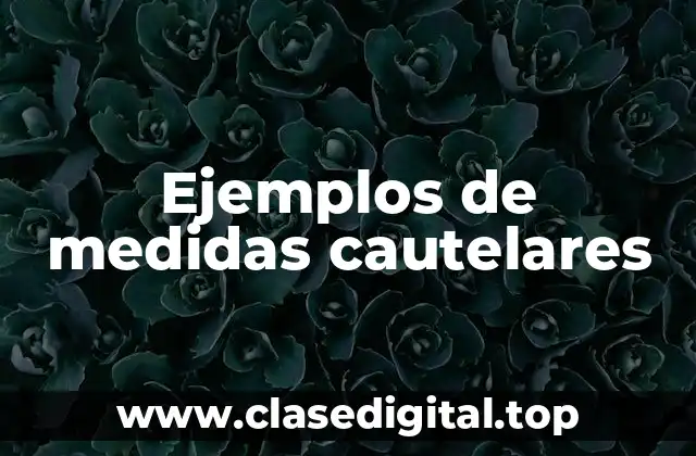 Ejemplos de medidas cautelares