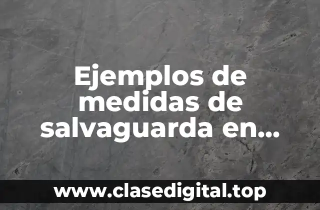 Ejemplos de medidas de salvaguarda en México