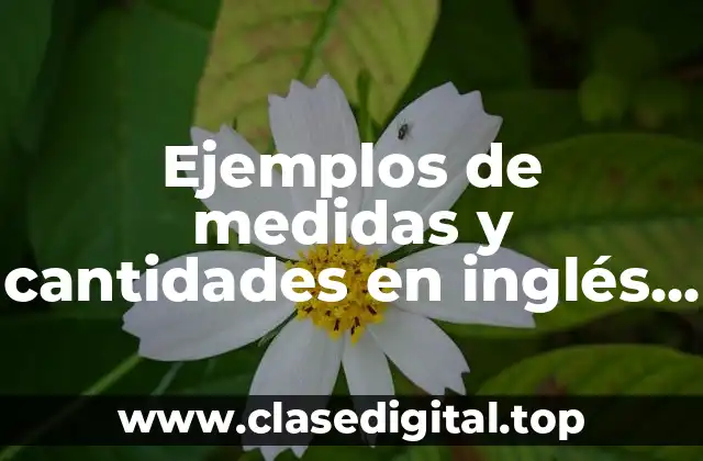 Ejemplos de medidas y cantidades en inglés y español y Significado