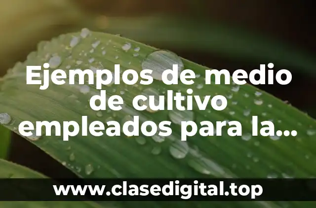 Ejemplos de medios de cultivo empleados para la siembra de microorganismos