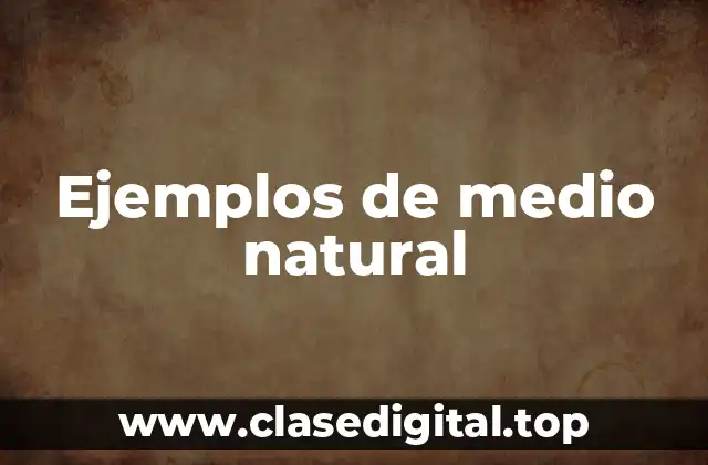 Ejemplos de medio natural