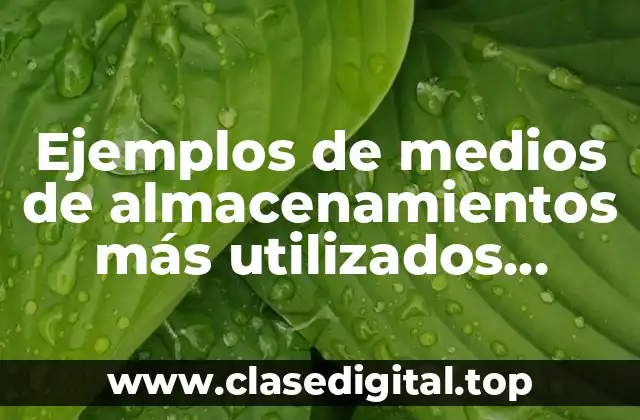 Ejemplos de medios de almacenamientos más utilizados físicos y virtuales