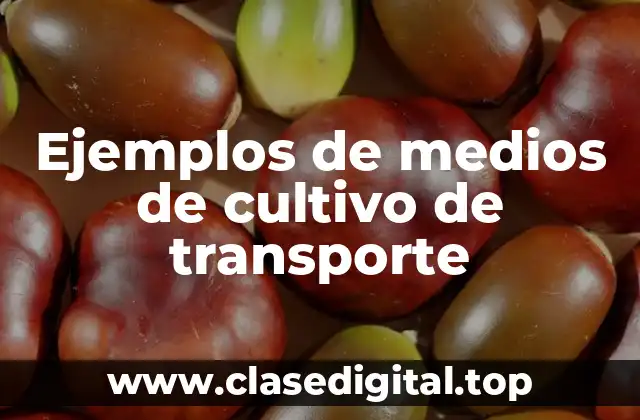 Ejemplos de medios de cultivo de transporte