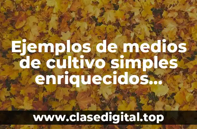 Ejemplos de medios de cultivo simples enriquecidos selectivos