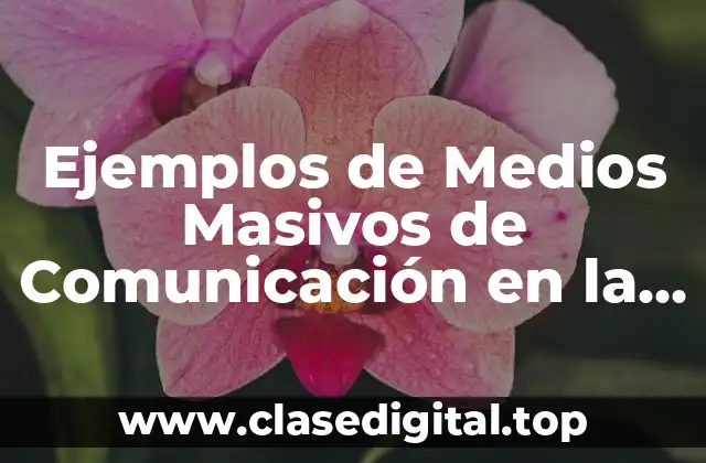 Ejemplos de Medios Masivos de Comunicación en la Sociedad