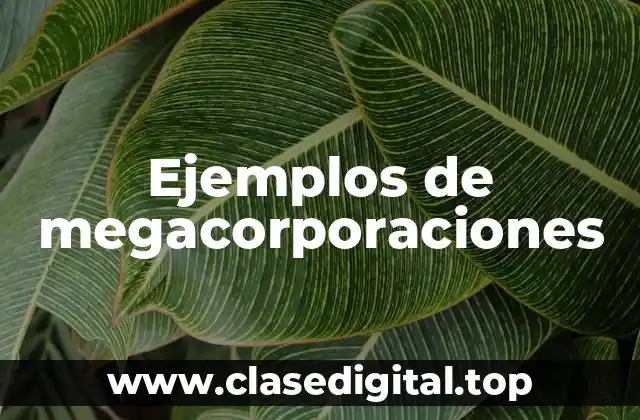 Ejemplos de megacorporaciones