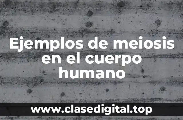 Ejemplos de meiosis en el cuerpo humano