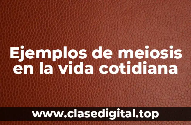 Ejemplos de meiosis en la vida cotidiana