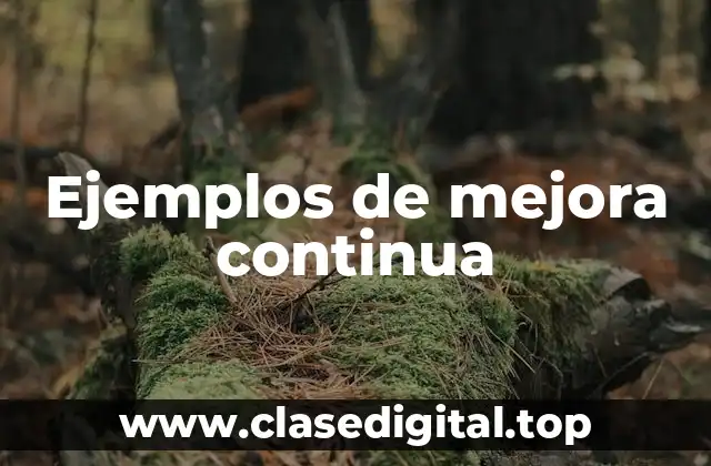 Ejemplos de mejora continua