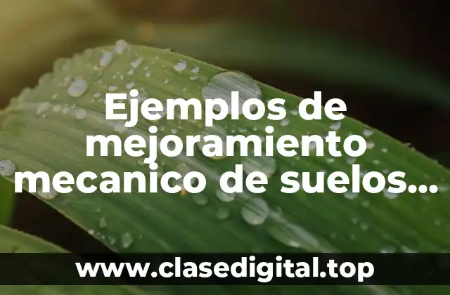 Ejemplos de mejoramiento mecanico de suelos