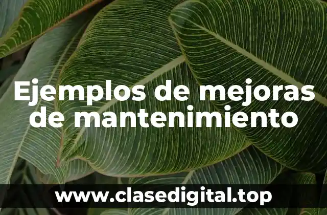 Ejemplos de mejoras de mantenimiento