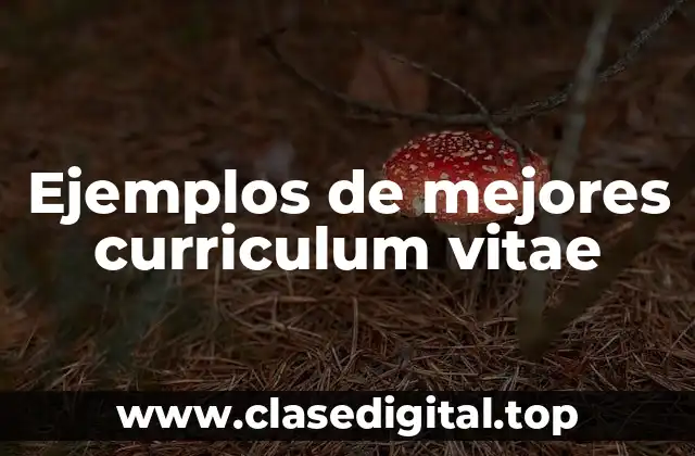Ejemplos de mejores curriculum vitae