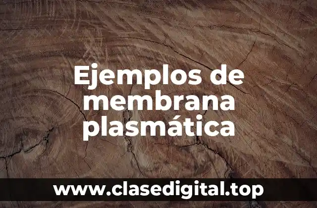 Ejemplos de membrana plasmatica