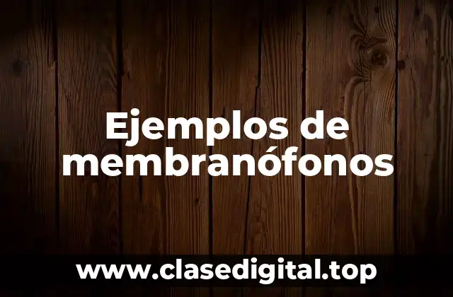 Ejemplos de membranófonos