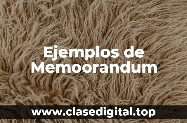 Ejemplos de Memoorandum
