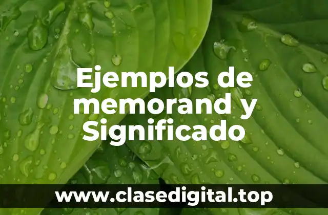Ejemplos de memorand y Significado