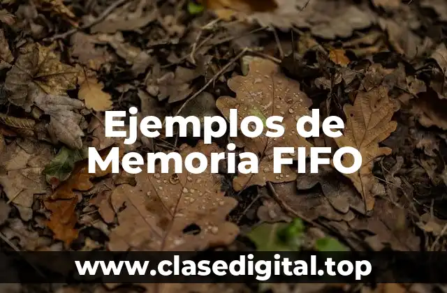 Ejemplos de Memoria FIFO