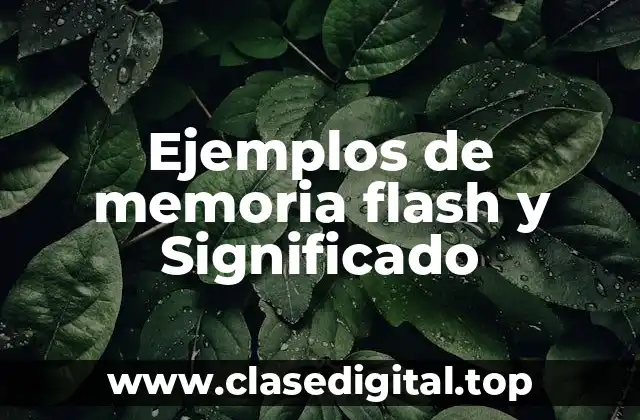 Ejemplos de memoria flash
