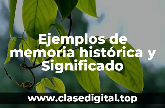Ejemplos de memoria histórica y Significado