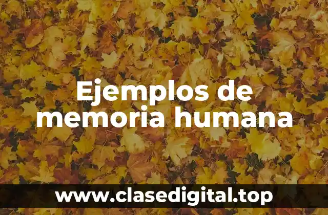 Ejemplos de memoria humana