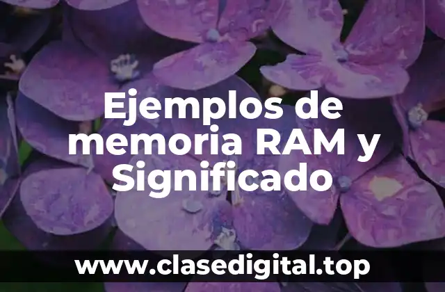 Ejemplos de memoria RAM y Significado