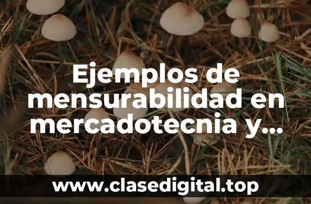 Ejemplos de mensurabilidad en mercadotecnia y Significado