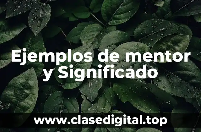 Ejemplos de mentor y Significado
