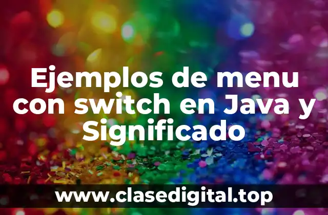 Ejemplos de menu con switch en Java y Significado