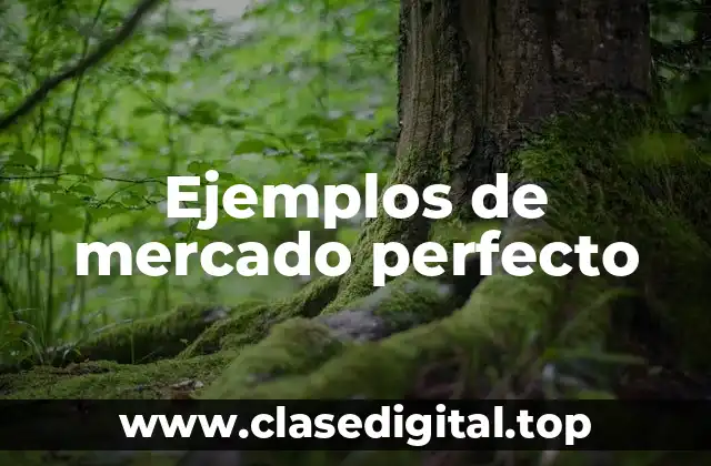 Ejemplos de mercado perfecto
