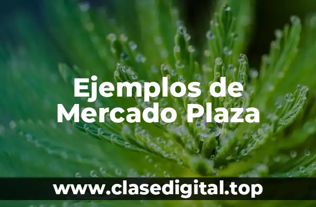Ejemplos de Mercado Plaza