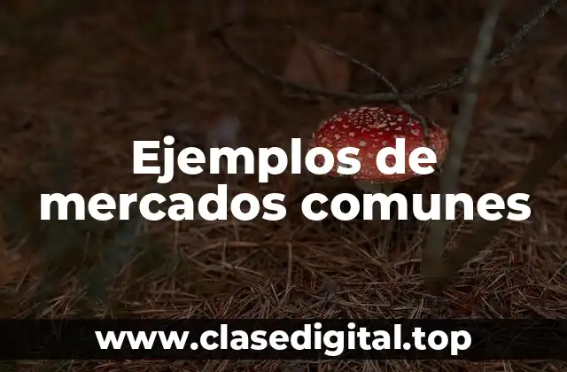 Ejemplos de mercados comunes