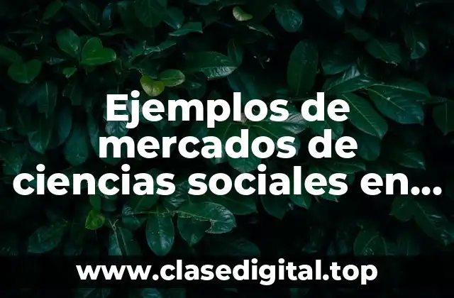 Ejemplos de mercados de ciencias sociales en mapas conceptuales