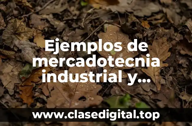 Ejemplos de mercadotecnia industrial