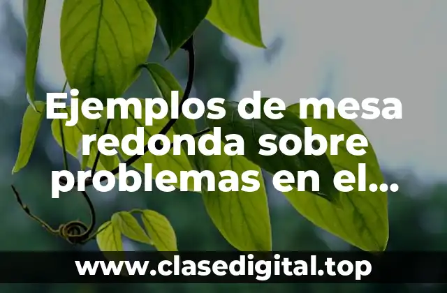 Ejemplos de mesa redonda sobre problemas en el hogar