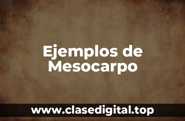 Ejemplos de Mesocarpo