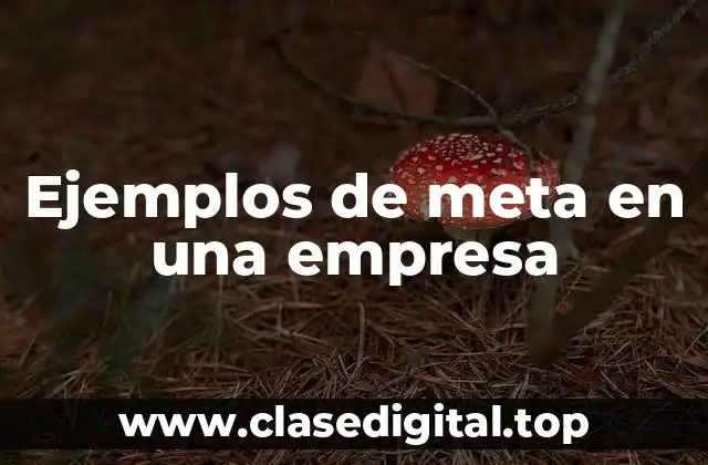 Ejemplos de meta en una empresa