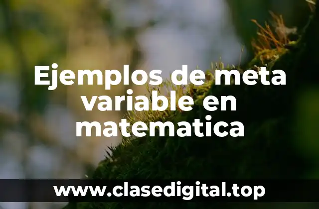 Ejemplos de meta variable en matematica