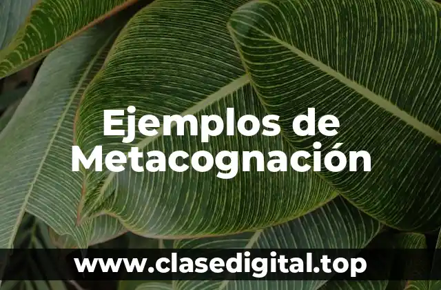 Ejemplos de Metacognación