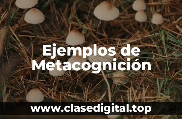 Ejemplos de Metacognición