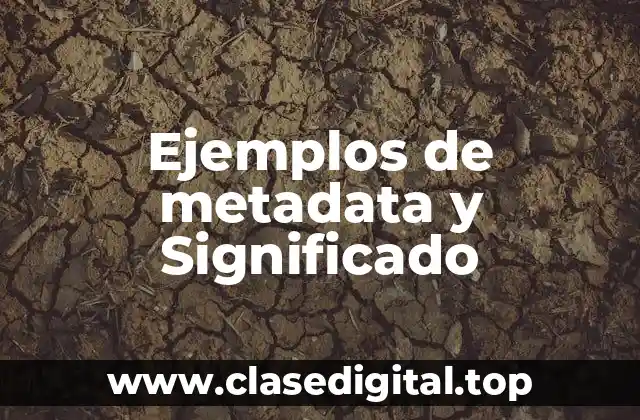 Ejemplos de metadata y Significado