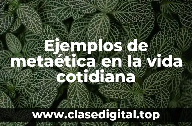 Ejemplos de metaética en la vida cotidiana