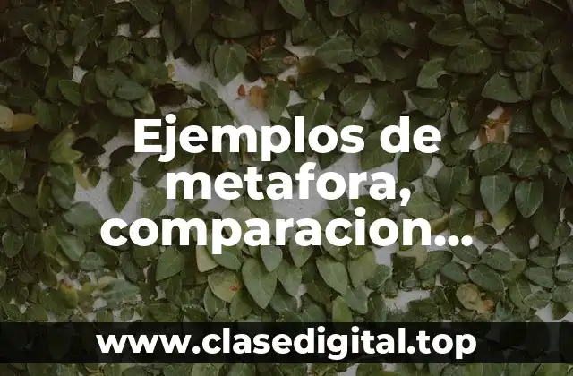 Ejemplos de metafora, comparacion, hiperbole y personificacion
