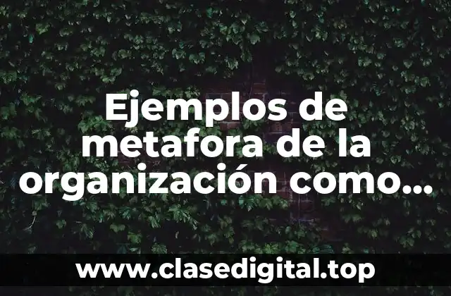 Ejemplos de metafora de la organización como máquina