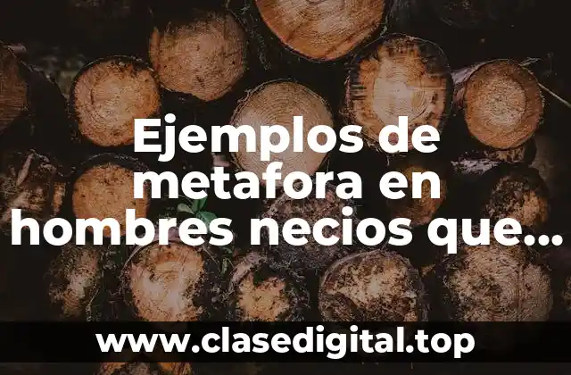 Ejemplos de metafora en hombres necios que acusais y Significado