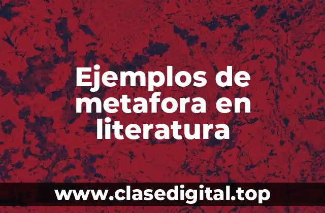 Ejemplos de metafora en literatura