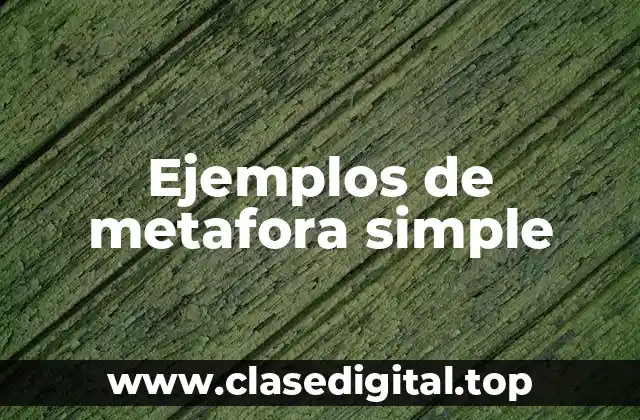 Ejemplos de metafora simple