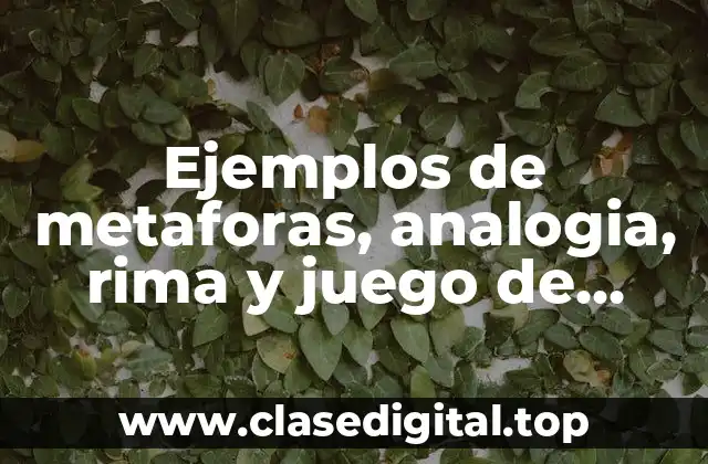 Ejemplos de metaforas, analogia, rima y juego de palabras