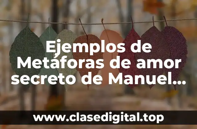 Ejemplos de Metáforas de amor secreto