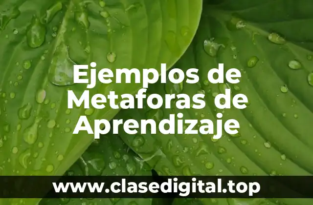 Ejemplos de Metaforas de Aprendizaje