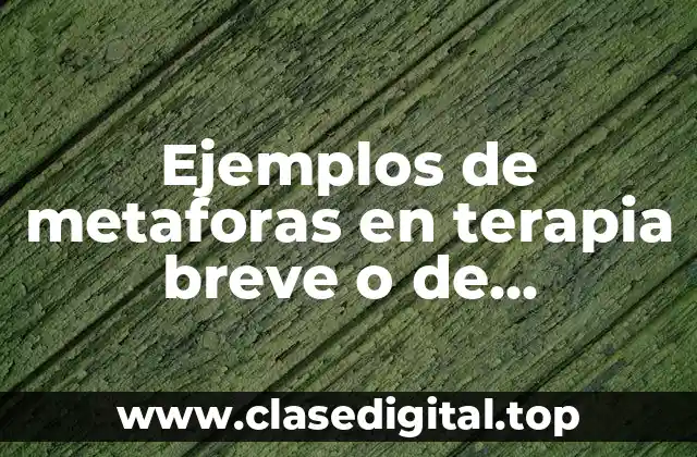 Ejemplos de metaforas en terapia breve o de emergencia